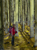 photo thumbnail #12
