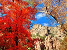photo thumbnail #1