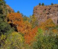 photo thumbnail #7
