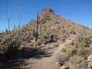 photo thumbnail #3