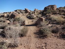 photo thumbnail #5