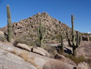 photo thumbnail #8