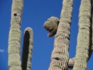 photo thumbnail #9
