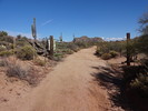 photo thumbnail #10