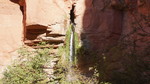 photo thumbnail #10