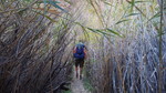 photo thumbnail #11