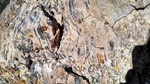 photo thumbnail #12