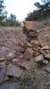 photo thumbnail #13