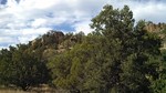 photo thumbnail #14
