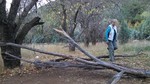 photo thumbnail #15