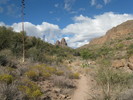 photo thumbnail #1