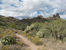 photo thumbnail #4