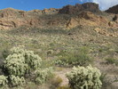 photo thumbnail #5