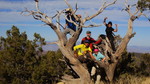 photo thumbnail #10