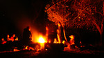 photo thumbnail #12