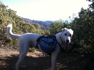 photo thumbnail #7