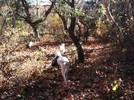 photo thumbnail #9
