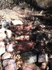 photo thumbnail #10