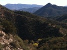 photo thumbnail #14