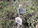 2013-11-01 :: Reavis via W Pinto Upper Pine Creek Loop :: FOTG