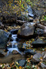 photo thumbnail #10