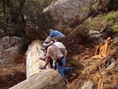 photo thumbnail #6