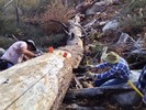 photo thumbnail #3