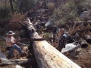 photo thumbnail #2