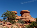 photo thumbnail #5