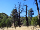 photo thumbnail #3