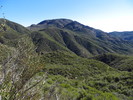 photo thumbnail #5