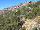 photo thumbnail #8