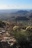 photo thumbnail #4