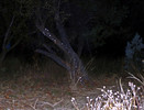 photo thumbnail #10