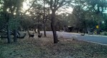 photo thumbnail #1
