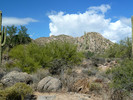 photo thumbnail #4