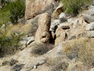photo thumbnail #7
