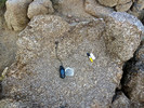 photo thumbnail #12