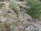 photo thumbnail #15