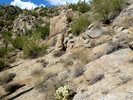 photo thumbnail #6