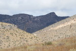 photo thumbnail #6
