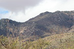 photo thumbnail #7
