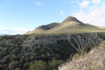 photo thumbnail #12