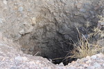 photo thumbnail #14