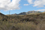 photo thumbnail #15