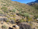 photo thumbnail #4