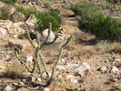 photo thumbnail #15