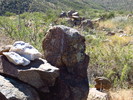 photo thumbnail #2