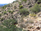 photo thumbnail #5