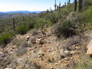 photo thumbnail #7